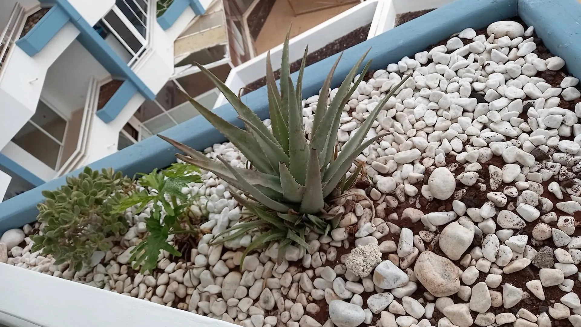 Cousy Holiday Apartment In Sunny Golf Del Sur San Miguel de Abona